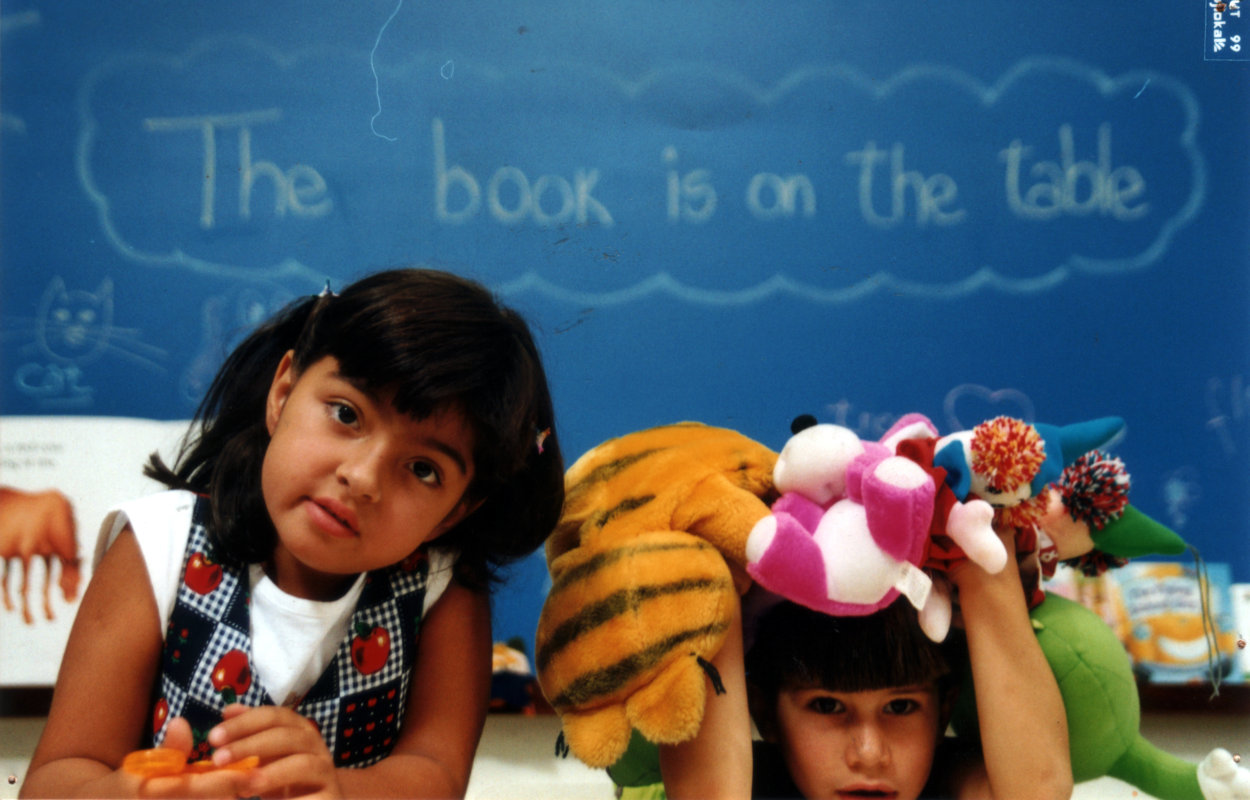 The Book is on The Table